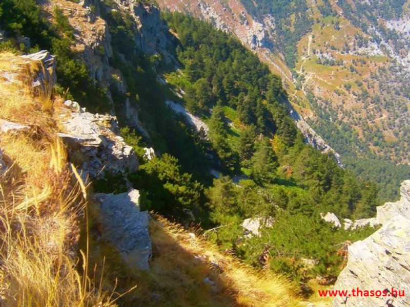 Az öreg falu, a vén platán és a folyók meséje